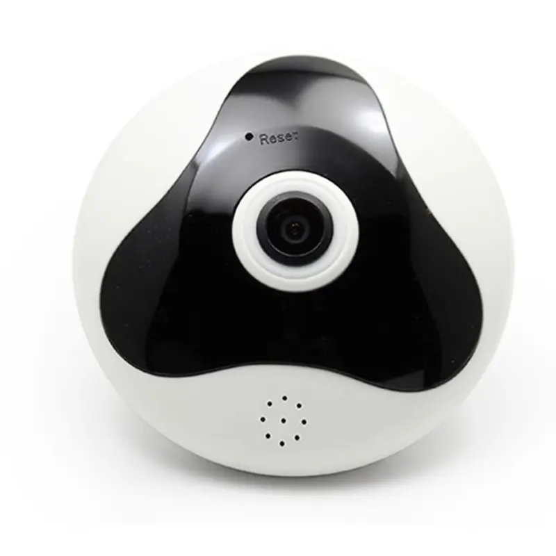 NETCAM Panorama VH01