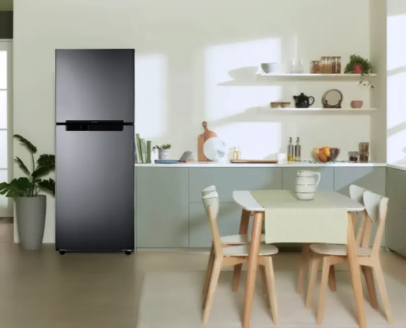 Samsung Inverter RT19M300BGS/SV