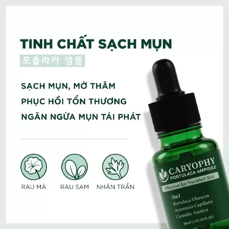 Serum trị mụn Caryophy Portulaca Ampoule Hàn Quốc