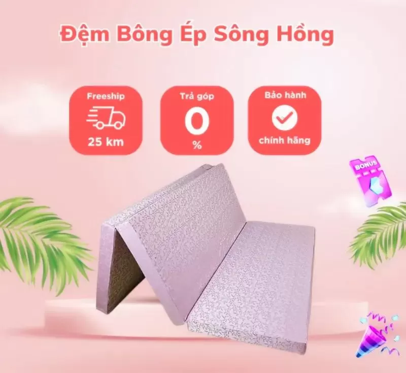 Nệm bông ép Sông Hồng