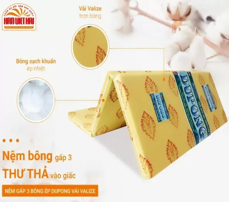 Nệm bông ép Dupong