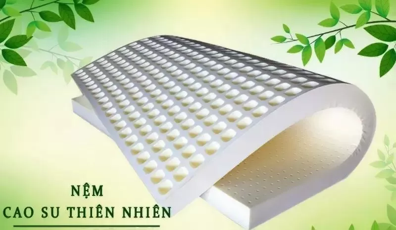 Nệm cao su thiên nhiên Thắng Lợi