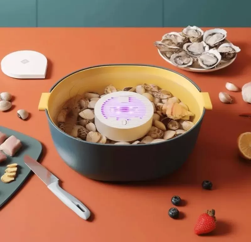 Máy khử độc thực phẩm ozon mini Xixa XP60-W