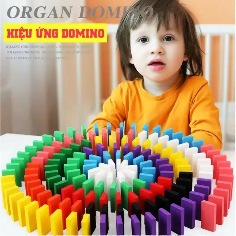 Đồ chơi xếp hình thông minh gỗ Domino 12 màu 120 miếng