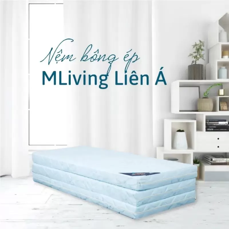 Nệm bông ép Liên Á